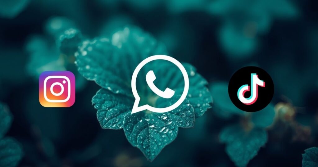 Meaning in Chat, WhatsApp, Instagram, TikTok