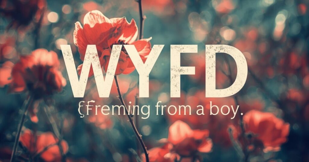 WYFD Meaning in Text from a Boy