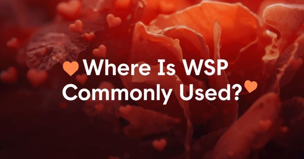 📱 Where Is WSP Commonly Used?